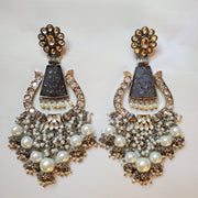 Beautiful Celebrity Earring set